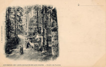 Environs de Lons-le-Saunier (Jura). Forêt de sapins. L.Demay.