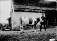 Homme avec une vache. Monsieur Marandet. Charbonny