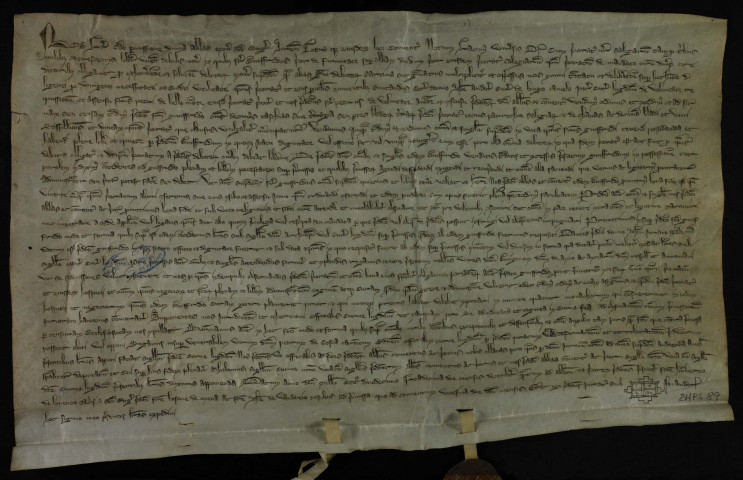 Accensement de dîmes, tâches et terrages du prieuré de Salaise.