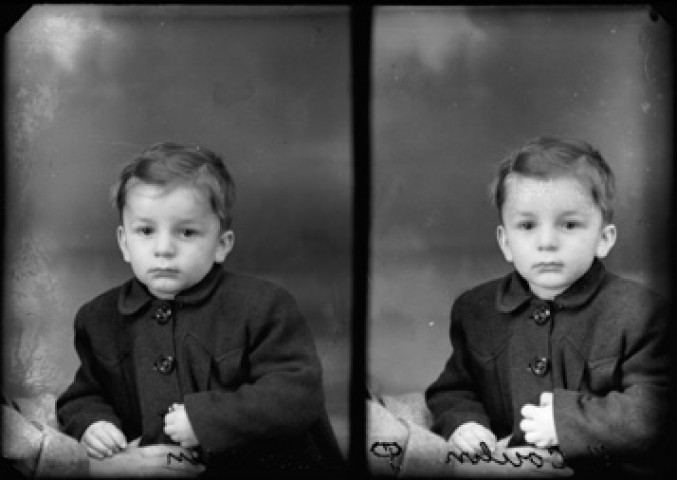 Identités. Coulon. Pharmacien