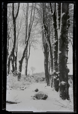 Extrémité de la grande allée du Parc Nazareth de Vers-en-Montagne sous la neige.