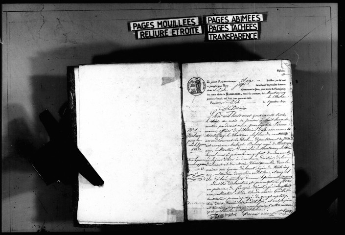 Naissances, mariages, décès, publications de mariage.