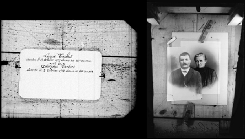 Reproduction. Tribut. Chapois