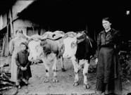 Veuve Courdier avec ses deux boeufs. Communailles