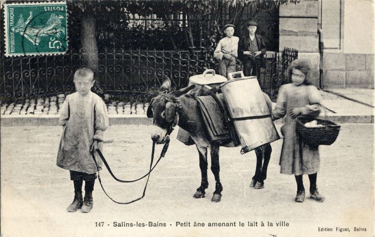 Salins-les-Bains (Jura). 147. Un petit âne amenant le lait à la Ville. Dole, Figuet.