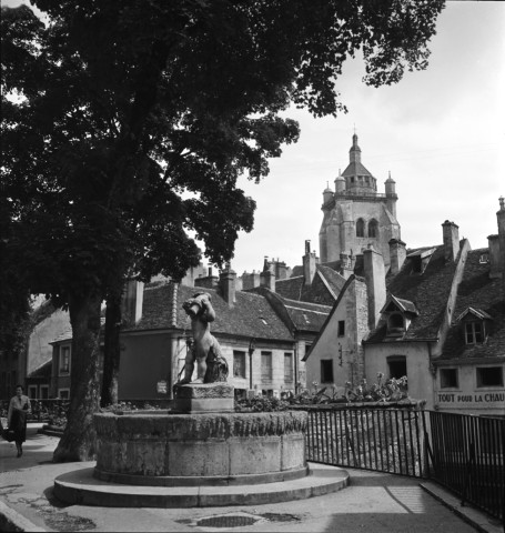 Une fontaine et la collégiale Notre-Dame.