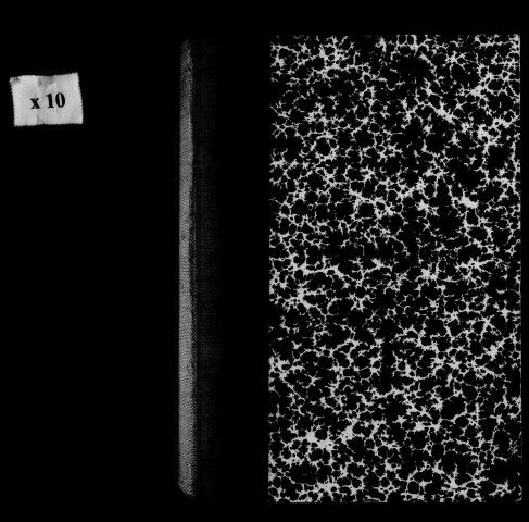 Naissances, mariages, décès, publications de mariage.