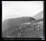 Pèlerinage à Notre-Dame de La Salette : moutons paissant sur la montagne.