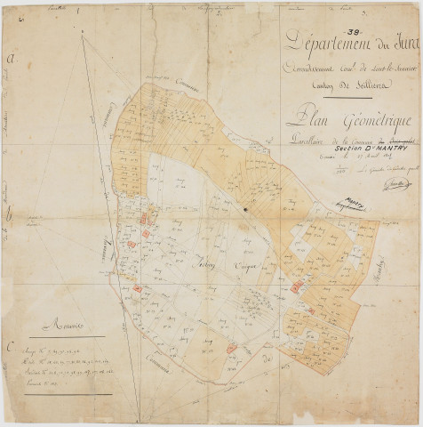 Mantry, section D, Bois Gelot, feuille unique.géomètre : D. Chavassine