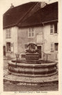 Poligny (Jura). 115. Vieille fontaine. Dole, Karrer.