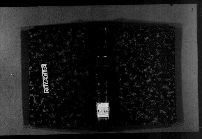 Naissances, mariages, décès, publications de mariage.