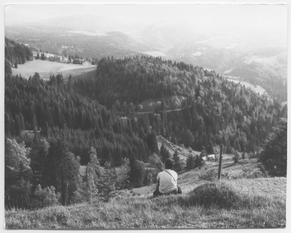 Entre Morez et et Les Rousses, de la route de Trélarce au-dessus de Gouland.