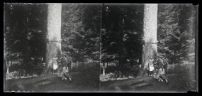 Cinq personnes posent devant le Sapin Président de la forêt de la Joux.