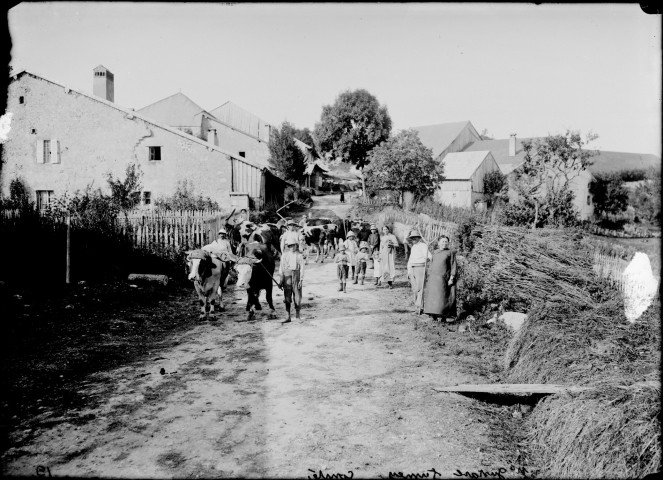 Gustave Fumey devant sa ferme avec ses vaches. Conte