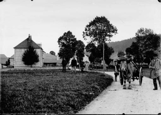 Boeuf tirant une charrette à l'entrée d'un village
