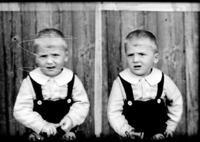 Identités. Adonis Chauvin. Censeau