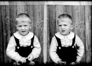 Identités. Adonis Chauvin. Censeau