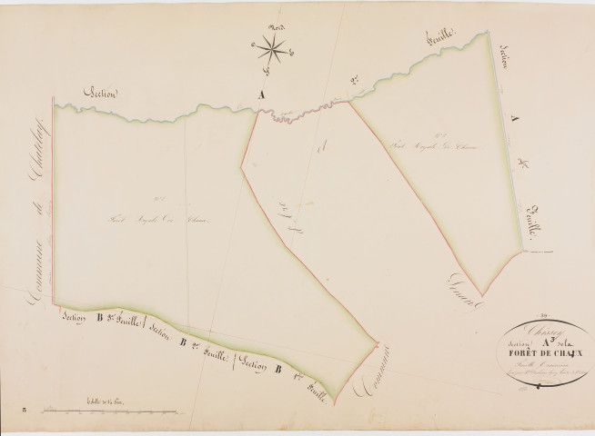 Chissey-sur-Loue, section A, la Forêt de Chaux, feuille 3. [1837-1838] géomètre : Henry Duchesne