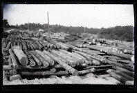 Exploitation de la forêt de la Joux par les soldats canadiens : alignements de troncs d'arbres et bucherons militaires au travail.