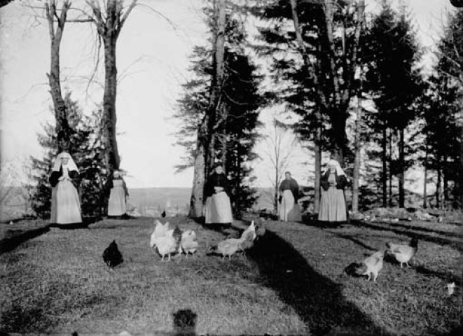 Religieuses donnant à manger aux poules