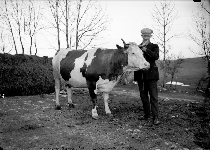 Homme avec une vache. Marendet