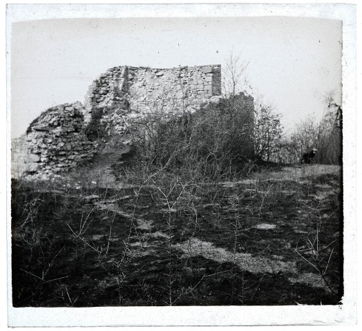 Ruines du château de Vaulgrenant à Pagnoz.