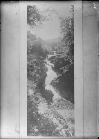 Reproduction. Rivière et forêt