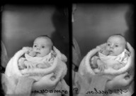 Identités. Coulon. Pharmacien