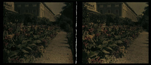 Grenoble, bordure de camias.