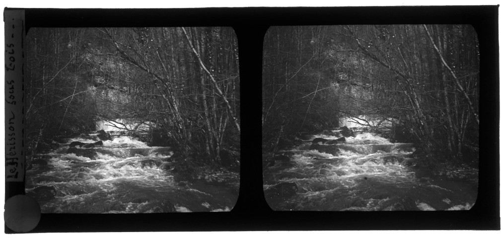 Rivière Le Hérisson en sous-bois.