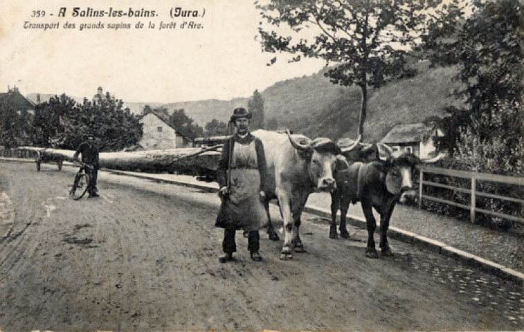 Salins-les-Bains (Jura). Transport des grands sapins de la forêt d'Arc à Salins-les-Bains. Salins-les-Bains, Libr. David-Mauvas.