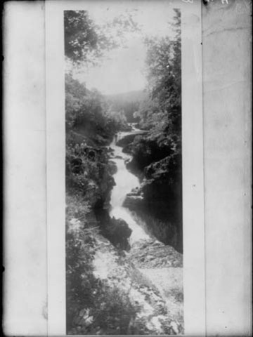 Reproduction. Rivière et forêt