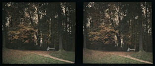 Trianon, un banc en automne.