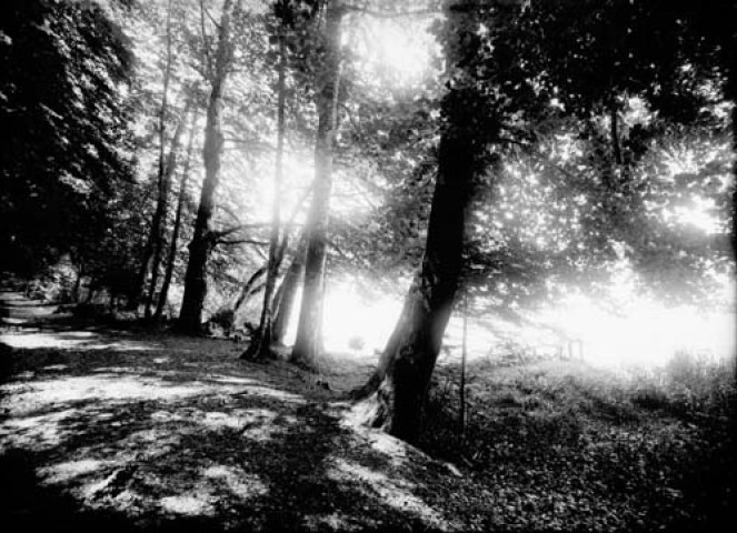 Bord du lac de Bonlieu