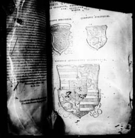 Blason dans un livre