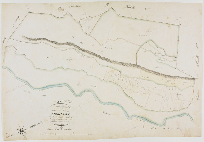 Chaux-du-Dombief (La), section C, le Morillon, feuille 4.géomètre : Patouillot