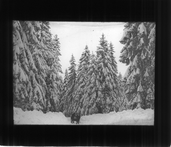 Le route de Nozeroy à Boujeailles sous la neige