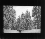 Le route de Nozeroy à Boujeailles sous la neige