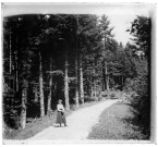 Jeune femme sur un chemin dans la forêt de la Fresse.