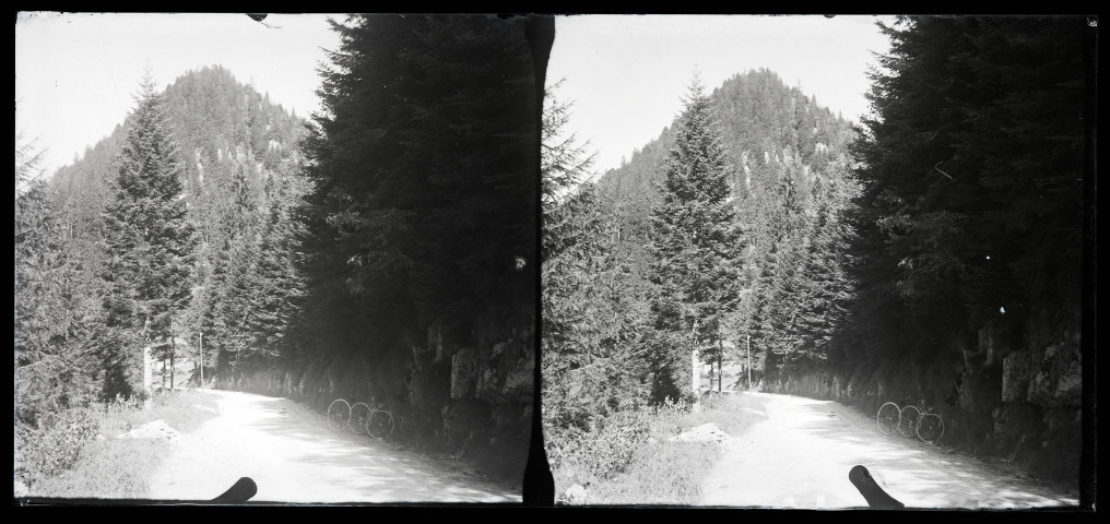 Route forestière, deux vélos sur le bas-côté.