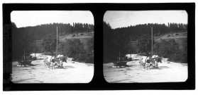 Attelage au repos au hameau de Pont-de-la-Chaux, à Chaux-des-Crotenay.